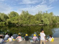 -杨梅红艺术教育(凤城教学中心)