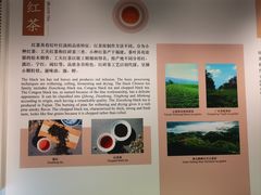 -中国茶叶博物馆(双峰馆区)