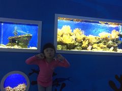 -洛阳龙门海洋馆