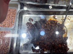 -乔波食品(杜桥中心菜场店)