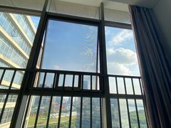 -南方医科大学深圳医院