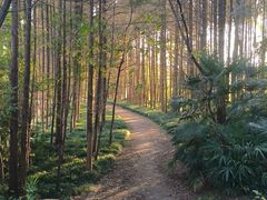 -上海市保健医疗中心