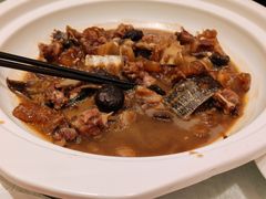 -喜来登由由大酒店九州膳坊中餐厅