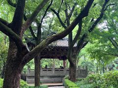 -汇龙潭