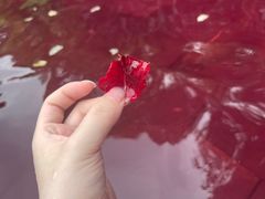 -融汇温泉