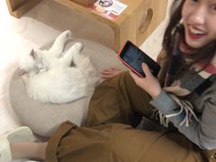 -猫和宫(六道口店)