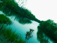 android_upload_pic-新江湾城公园