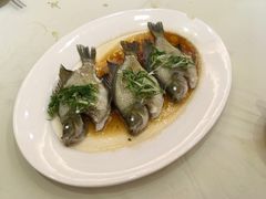 -松雅轩商务婚礼生日(同和店)