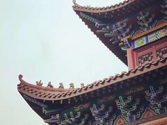 -长沙黑麋峰国家森林公园