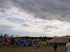 -春花秋色城市公园