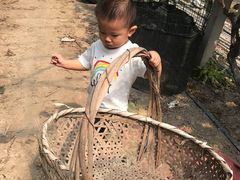 -马陆小张葡萄园农家乐