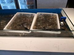 -星伦多 自助料理(圆融店)
