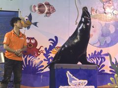 -太平洋海底世界