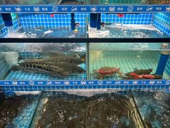 -十三香辣虾(夏湾店)