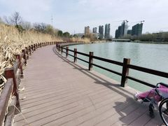 -九里河湿地公园