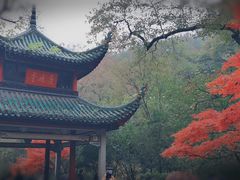 -岳麓山风景名胜区
