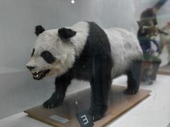 -国家自然博物馆