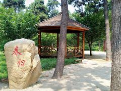 -渡海小渔村.老辈日照菜