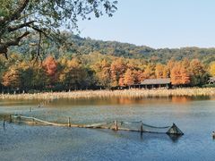 -八卦田遗址公园