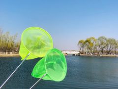 -大兴滨河森林公园