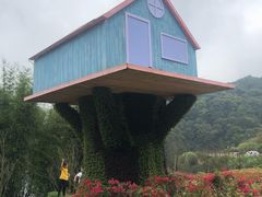 -广州市石门国家森林公园