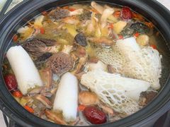-蘑统田下·野生菌火锅