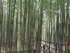 -竹泉村旅游度假区