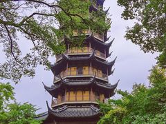 -红梅公园