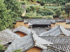 -杨家堂村