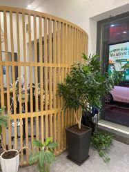 -章光101防脱养发荟