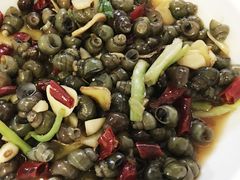 -温州山水家园农庄