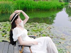 -白鹭湾湿地公园