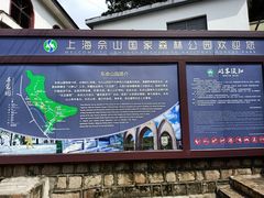 -上海佘山国家森林公园东门地面停车场