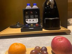 -扬州绿地铂骊酒店