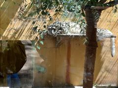 -青藏高原野生动物园