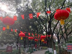 -瀛洲公园
