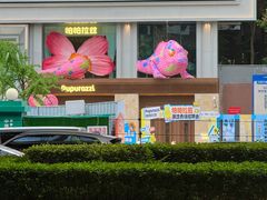 -帕帕拉兹宠物(亚洲旗舰店)