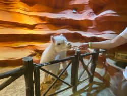 -酷嗒动物文化乐园(cutezoo西溪乐天城店)