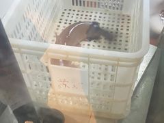 -鱼酷活鱼烤鱼(南京水游城店)