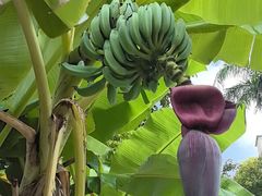 -云溪植物园