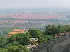 -华西村