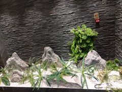 -怀德酒楼·粤菜·海鲜·茶点(宝安国际机场店)