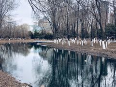 -长白岛森林公园