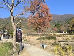 -塔川景区