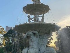 -卡尔顿花园