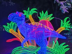 -南宫五洲植物乐园