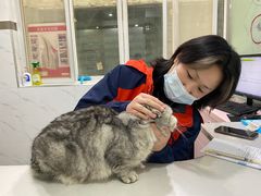 -伟伟宠物医院·CT影像中心·瑞派犬猫综合性门诊(汉口总院)