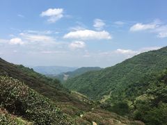 -东白山