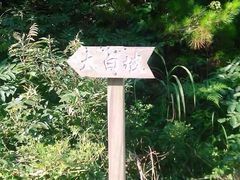 -北仑森林植物园