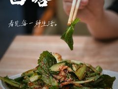 小白菜黄瓜-喜来苑